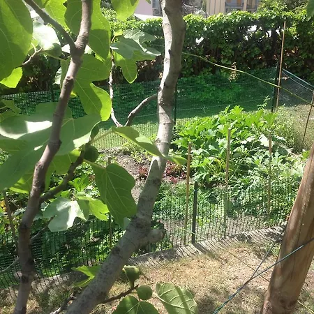 Apartman Maison Eglantyne